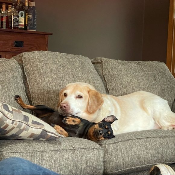 Family and friends - Picture 8 of 16